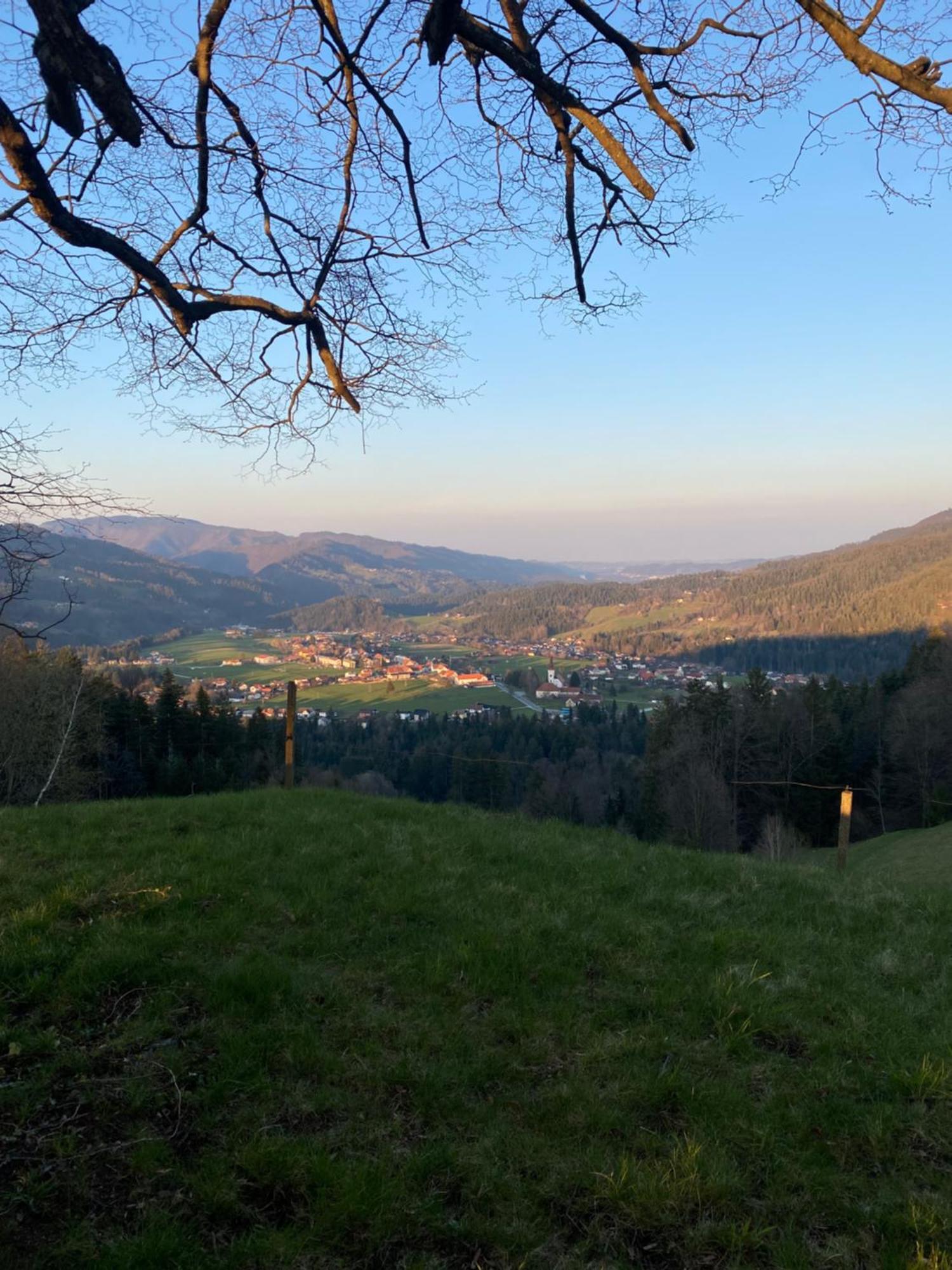 Apartma Ella Lovrenc na Pohorju Bagian luar foto